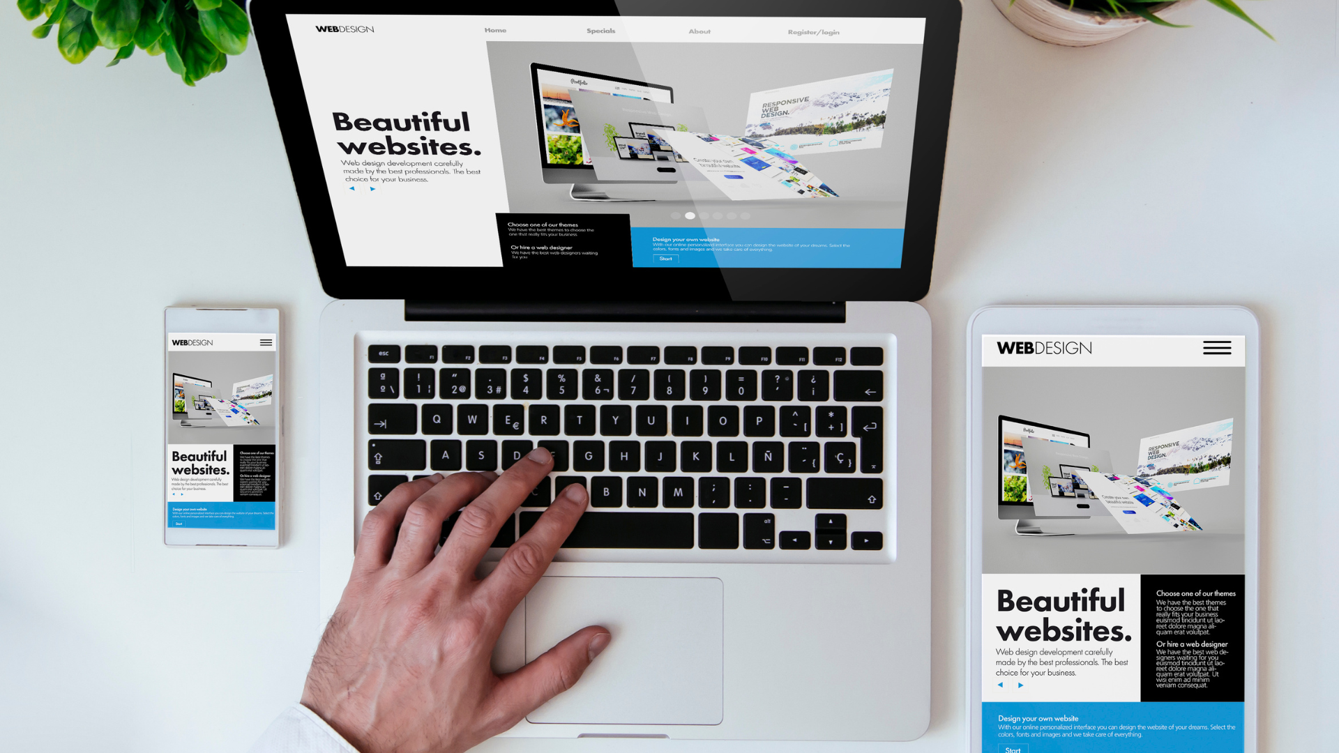 Gestione sito web